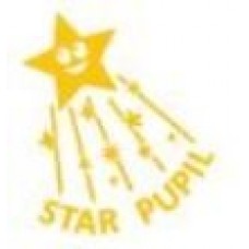 Star Pupil Self Inking Teacher Stamp