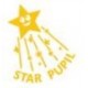 Star Pupil Self Inking Teacher Stamp