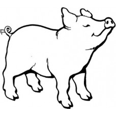 Micro Pig - Self inking stamp - Black Ink - 28 x 28 mm