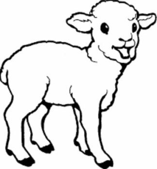 Lamb - Loyalty reward stamp - 11 x 11