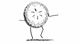 Loyalty Card self inking stamp - Dancing Mince Pie