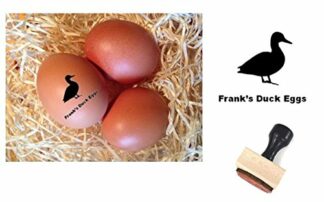 Personalised Duck Egg Stamping Kit - includes Personalised 12mm Rubber stamp, Food Ink and Dry Stamp pad